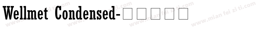 Wellmet Condensed字体转换